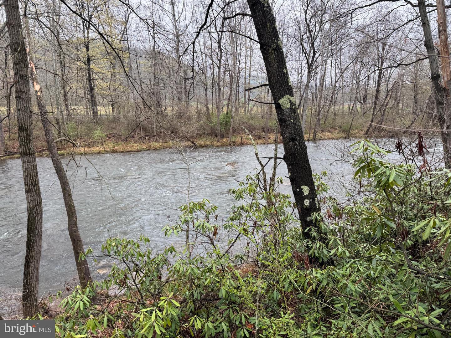 Tract 1: 191+- Acres Cooks Mill Rd Property Photo 78