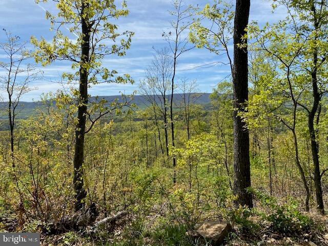 Lot 6 Polecat Hollow Road Property Photo 1