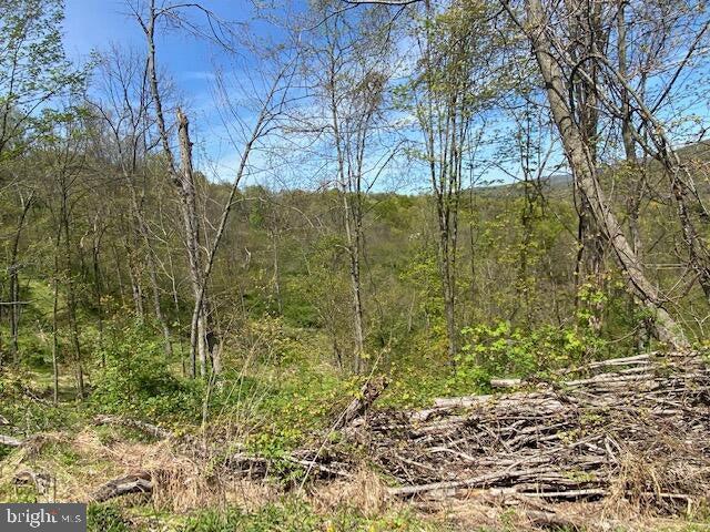 Lot 6 Polecat Hollow Road Property Photo 2