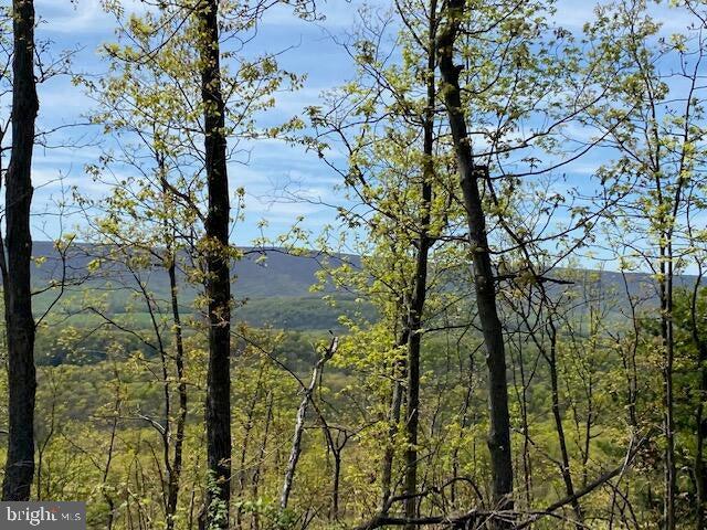 Lot 6 Polecat Hollow Road Property Photo 3
