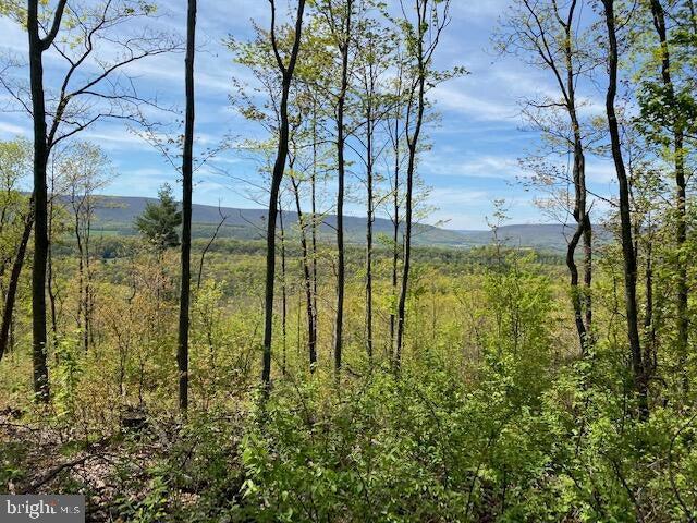 Lot 6 Polecat Hollow Road Property Photo 4