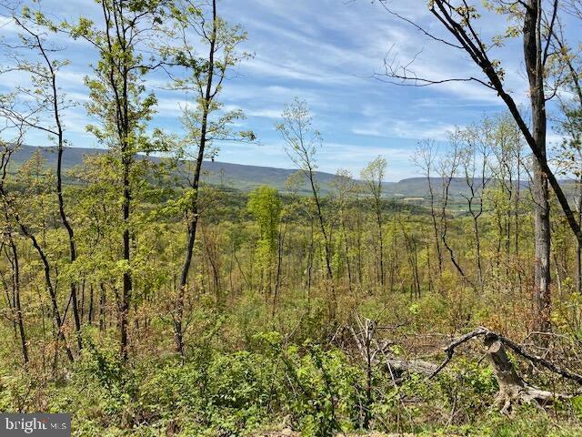 Lot 6 Polecat Hollow Road Property Photo 5