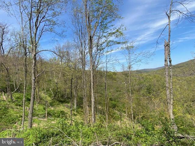 Lot 6 Polecat Hollow Road Property Photo 6
