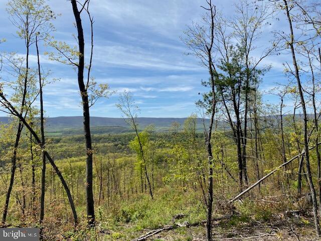 Lot 6 Polecat Hollow Road Property Photo 7