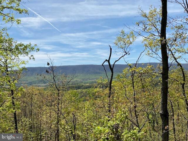 Lot 6 Polecat Hollow Road Property Photo 8