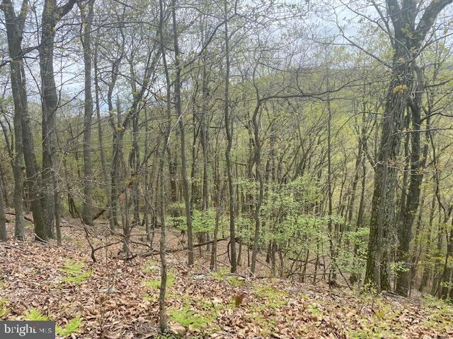 Lot 6 Polecat Hollow Road Property Photo 9