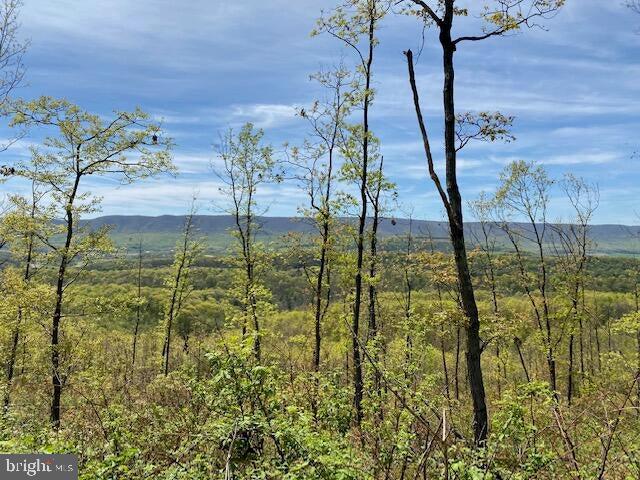 Lot 6 Polecat Hollow Road Property Photo 10