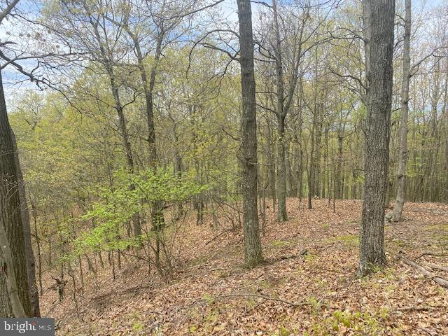 Lot 6 Polecat Hollow Road Property Photo 11
