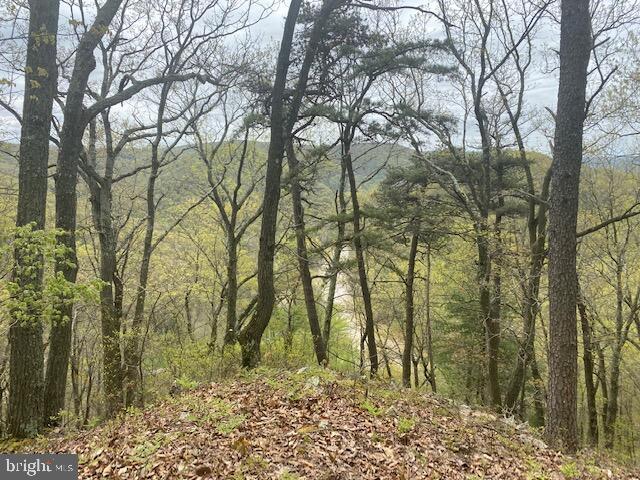 Lot 6 Polecat Hollow Road Property Photo 12