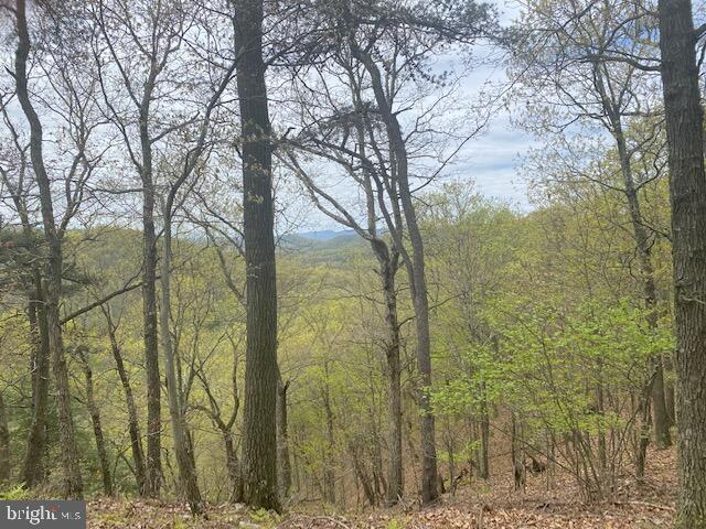 Lot 6 Polecat Hollow Road Property Photo 13