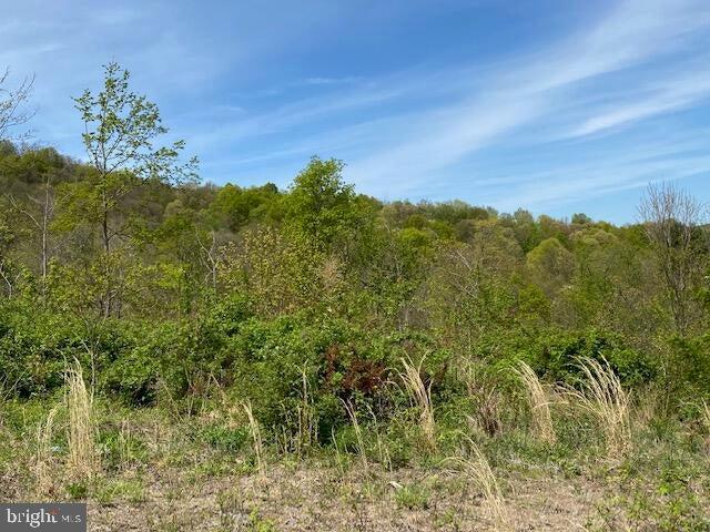 Lot 6 Polecat Hollow Road Property Photo 14