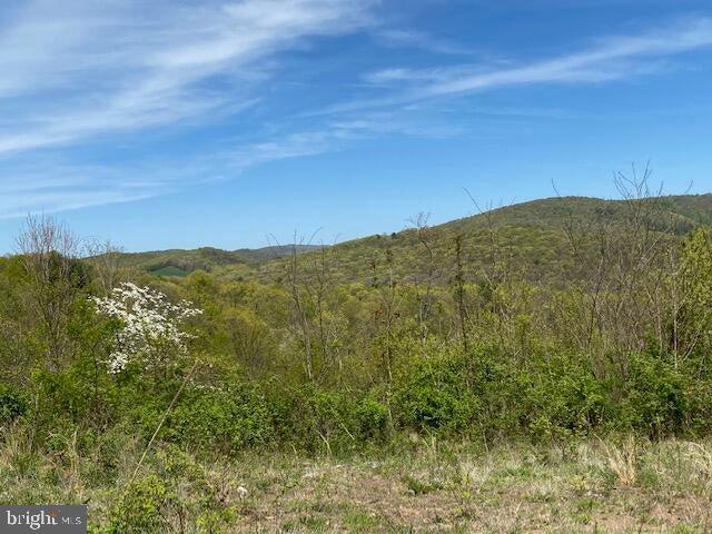 Lot 6 Polecat Hollow Road Property Photo 15
