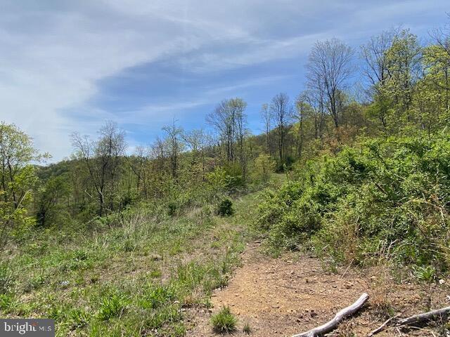 Lot 6 Polecat Hollow Road Property Photo 16