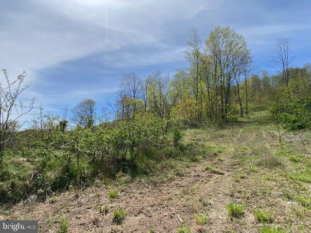Lot 6 Polecat Hollow Road Property Photo 17