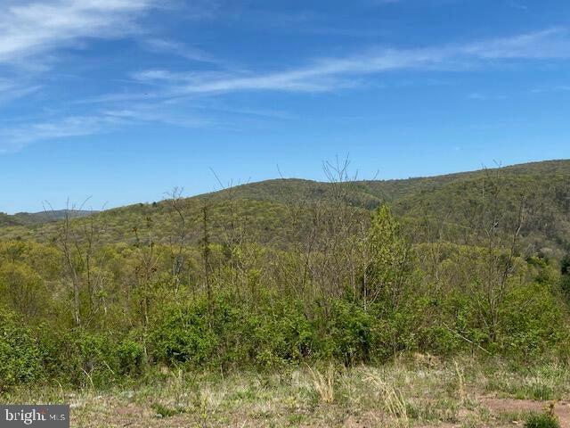Lot 6 Polecat Hollow Road Property Photo 18