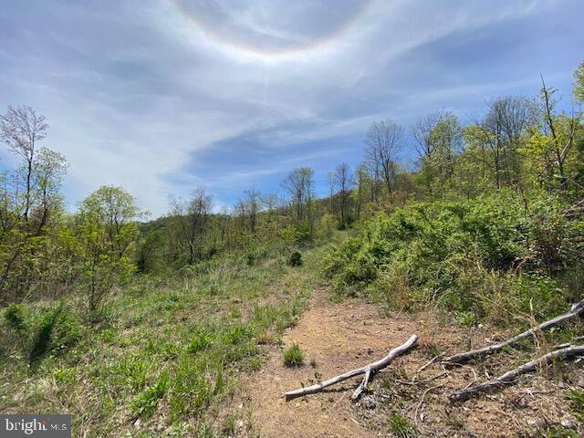 Lot 6 Polecat Hollow Road Property Photo 19
