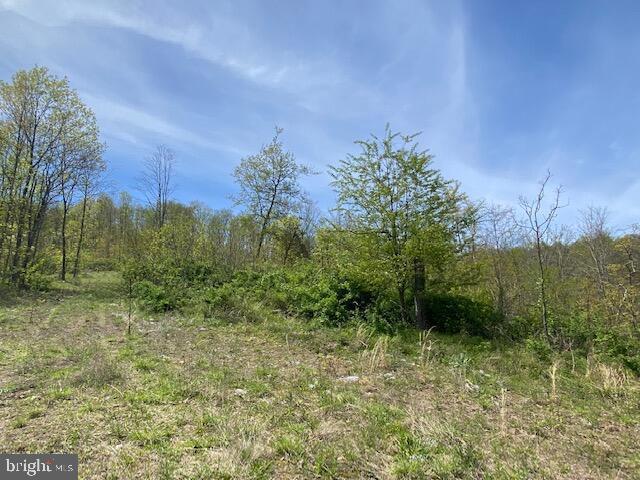 Lot 6 Polecat Hollow Road Property Photo 20