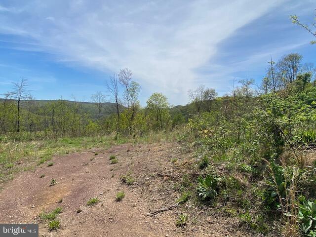 Lot 6 Polecat Hollow Road Property Photo 21