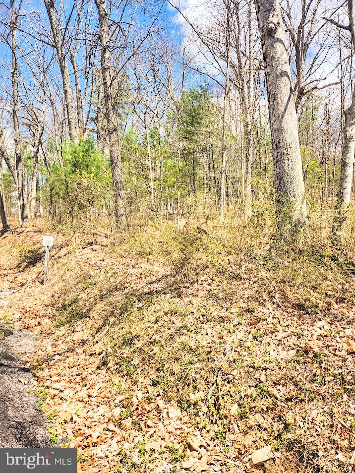361 Mechanics Hollow Rd Property Photo 6