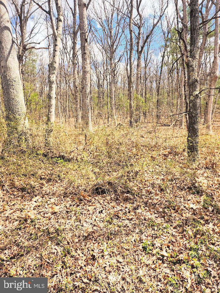 361 Mechanics Hollow Rd Property Photo 9