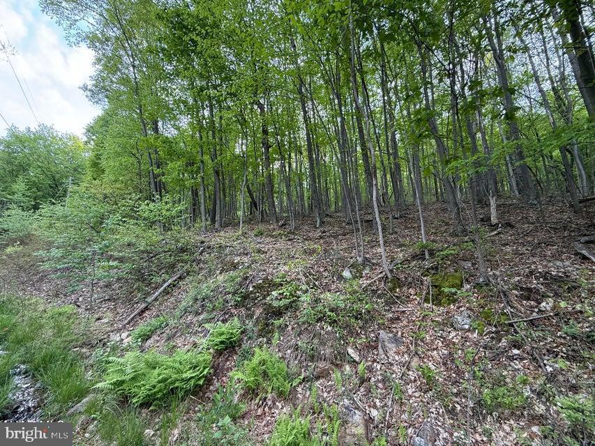 0 Cherry Run Road Property Photo 1
