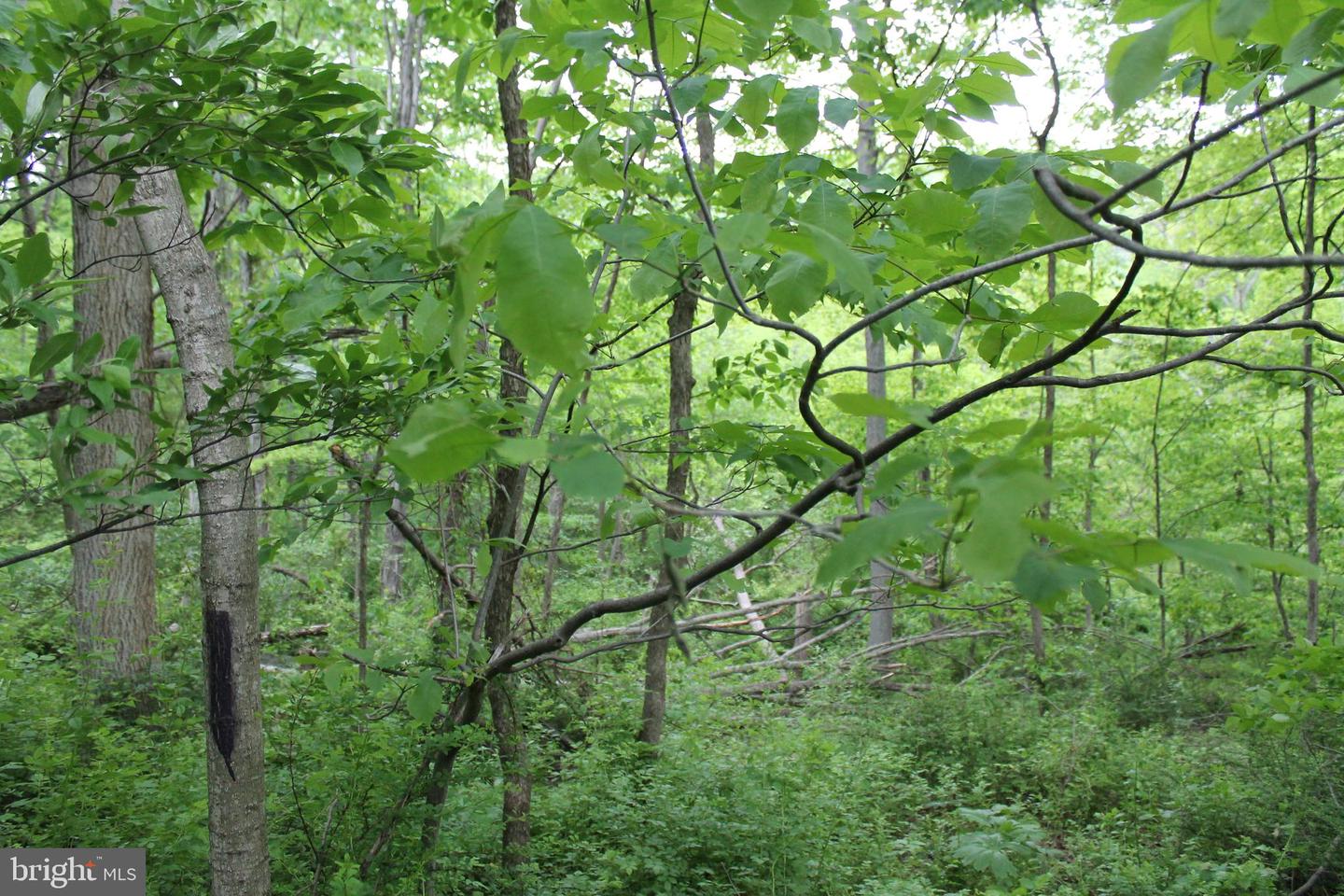 00 Black Valley Rd Property Photo 3