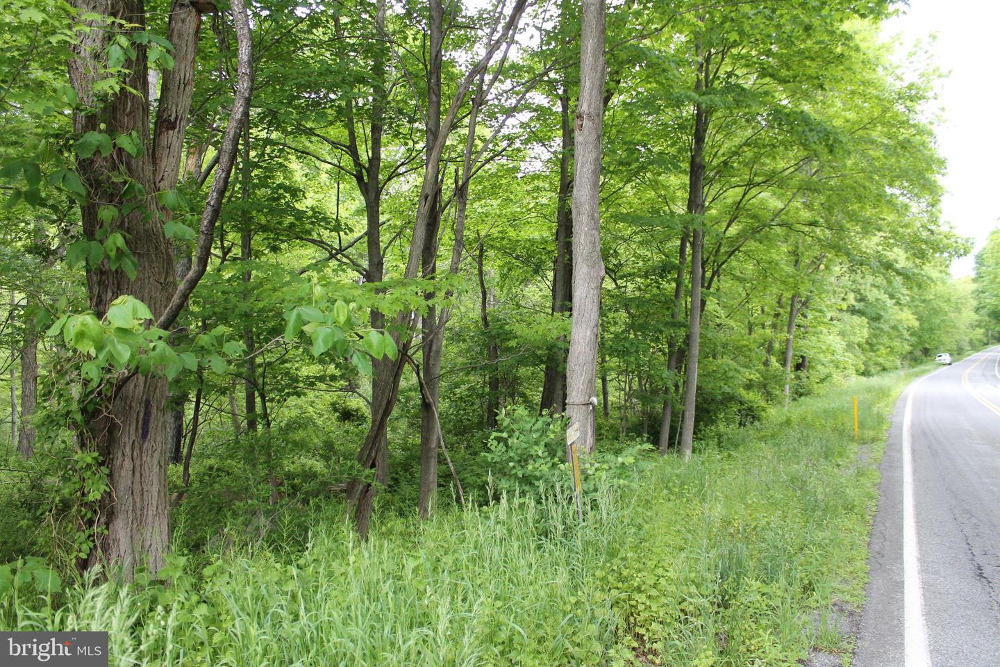 00 Black Valley Rd Property Photo 4