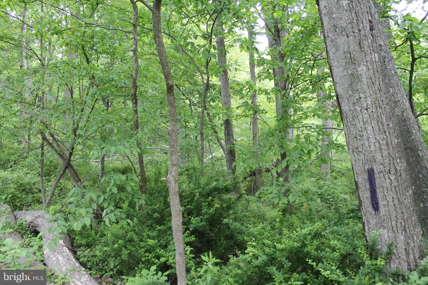 00 Black Valley Rd Property Photo 5