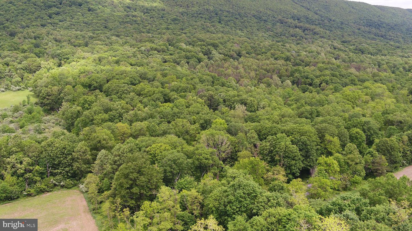 00 Black Valley Rd Property Photo 13