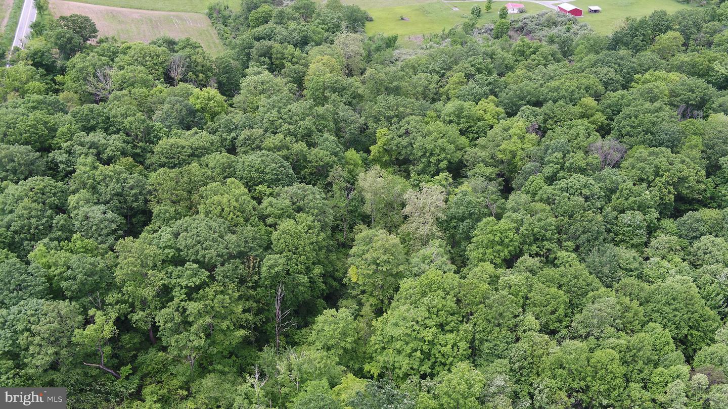 00 Black Valley Rd Property Photo 22