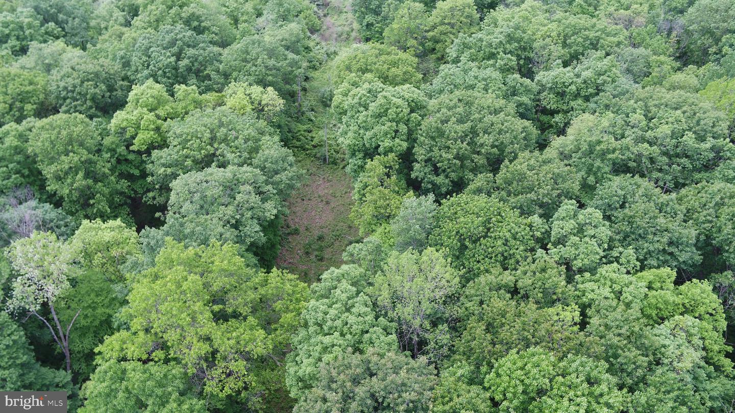 00 Black Valley Rd Property Photo 29