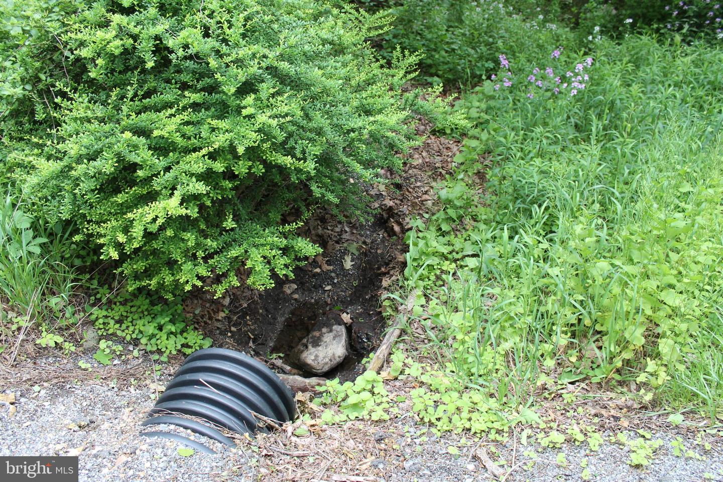 00 Black Valley Rd Property Photo 58