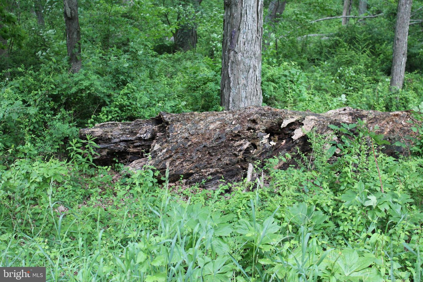 00 Black Valley Rd Property Photo 60