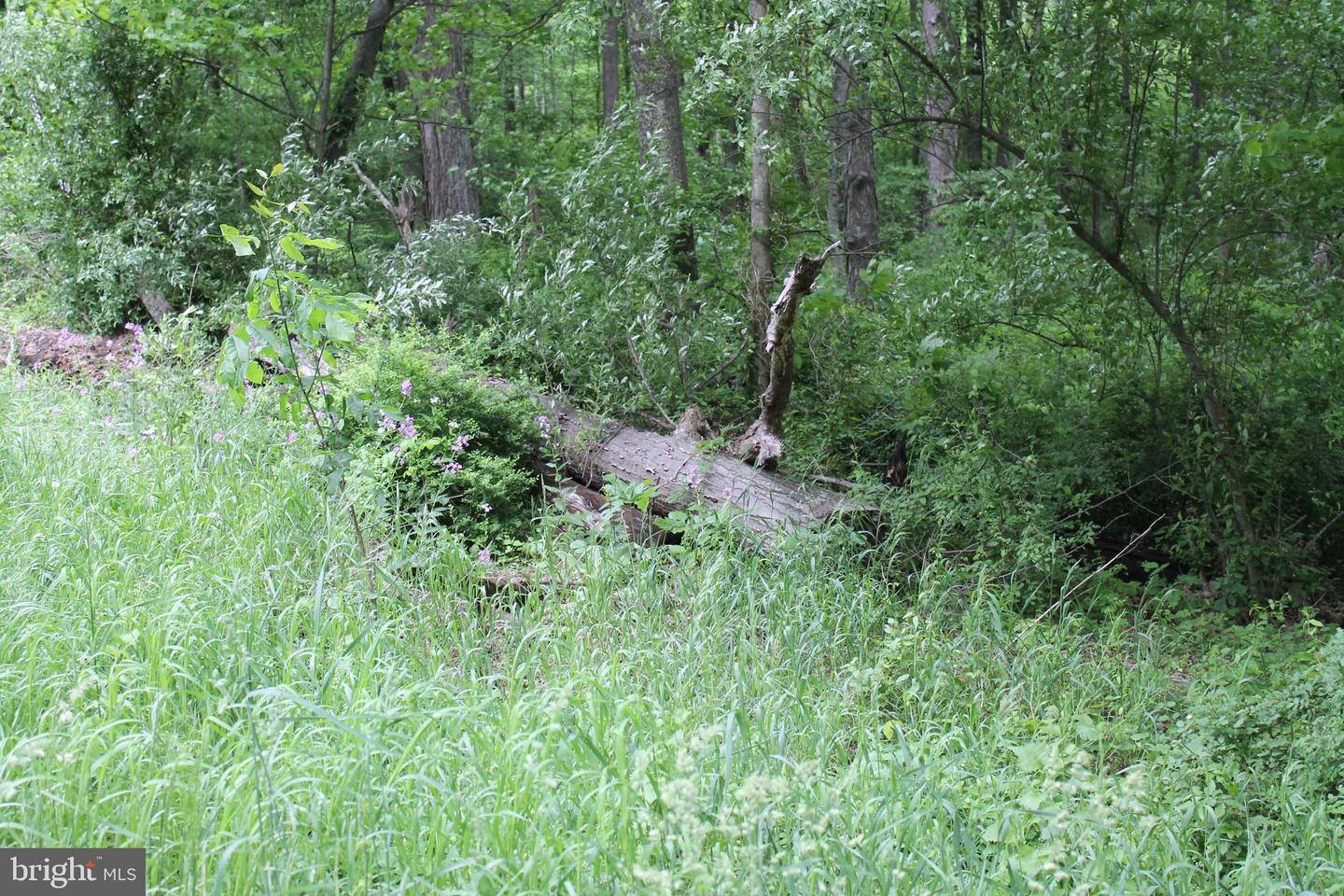 00 Black Valley Rd Property Photo 61
