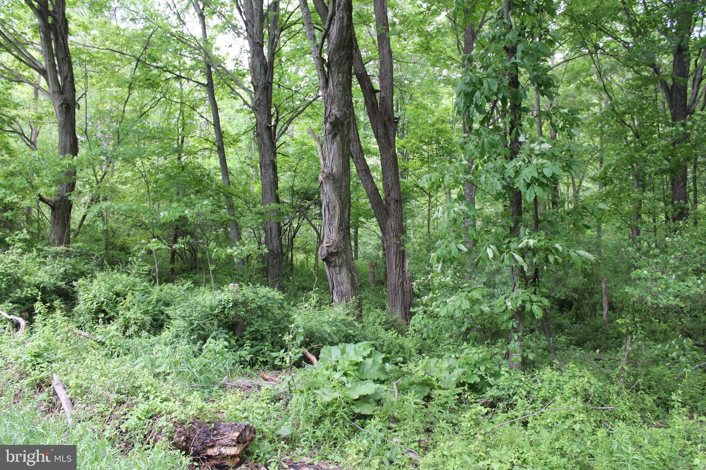 00 Black Valley Rd Property Photo 64