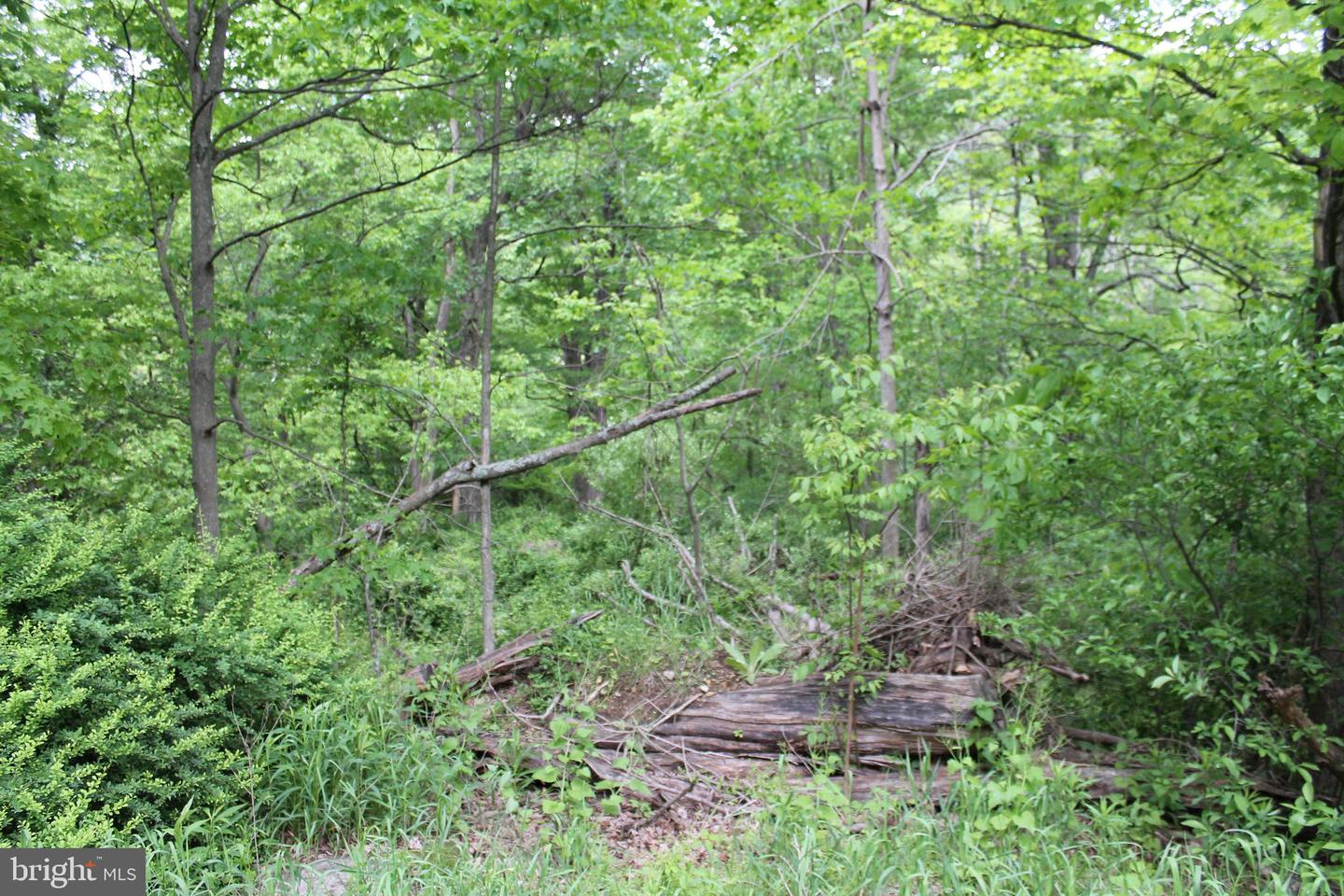 00 Black Valley Rd Property Photo 66