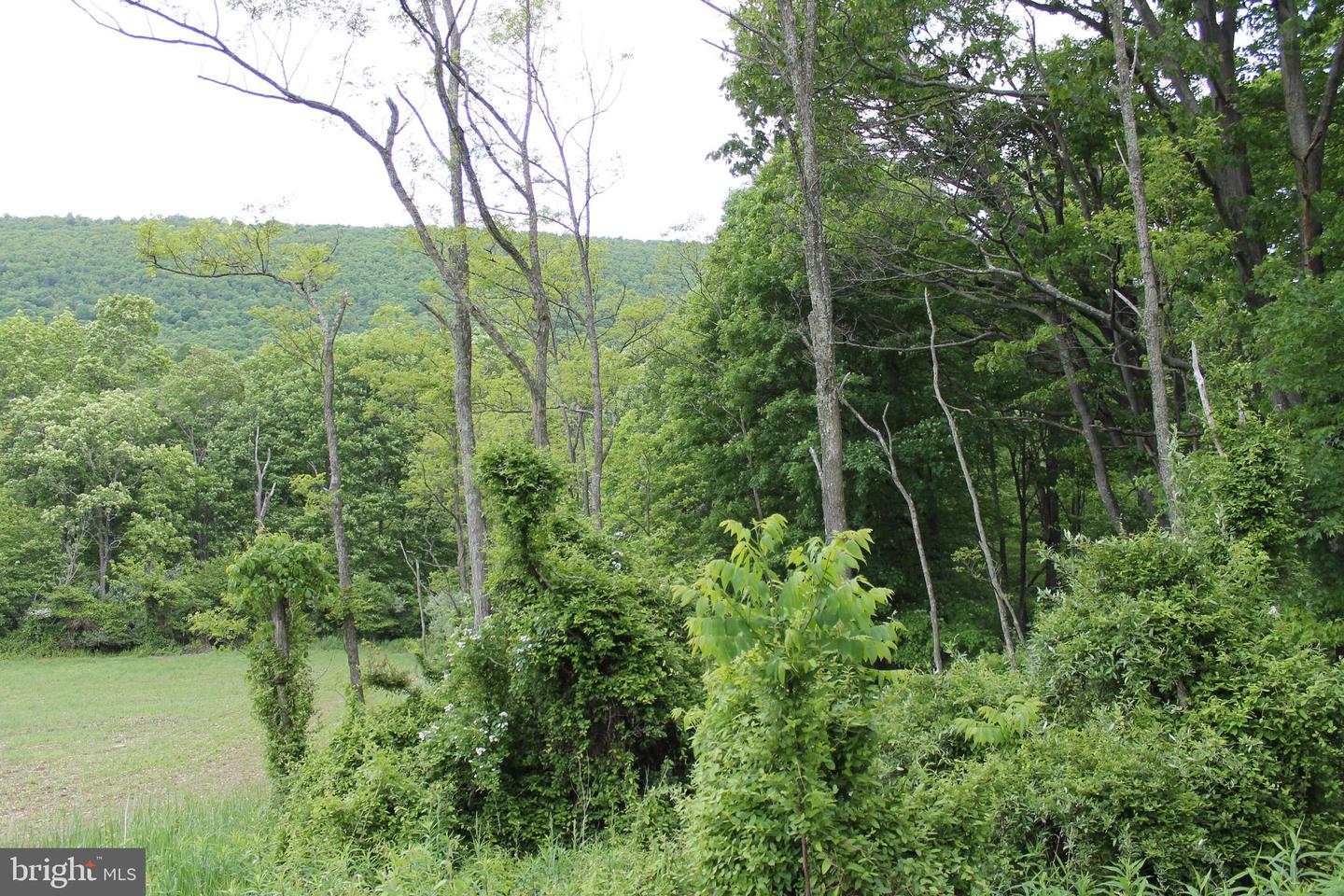 00 Black Valley Rd Property Photo 71