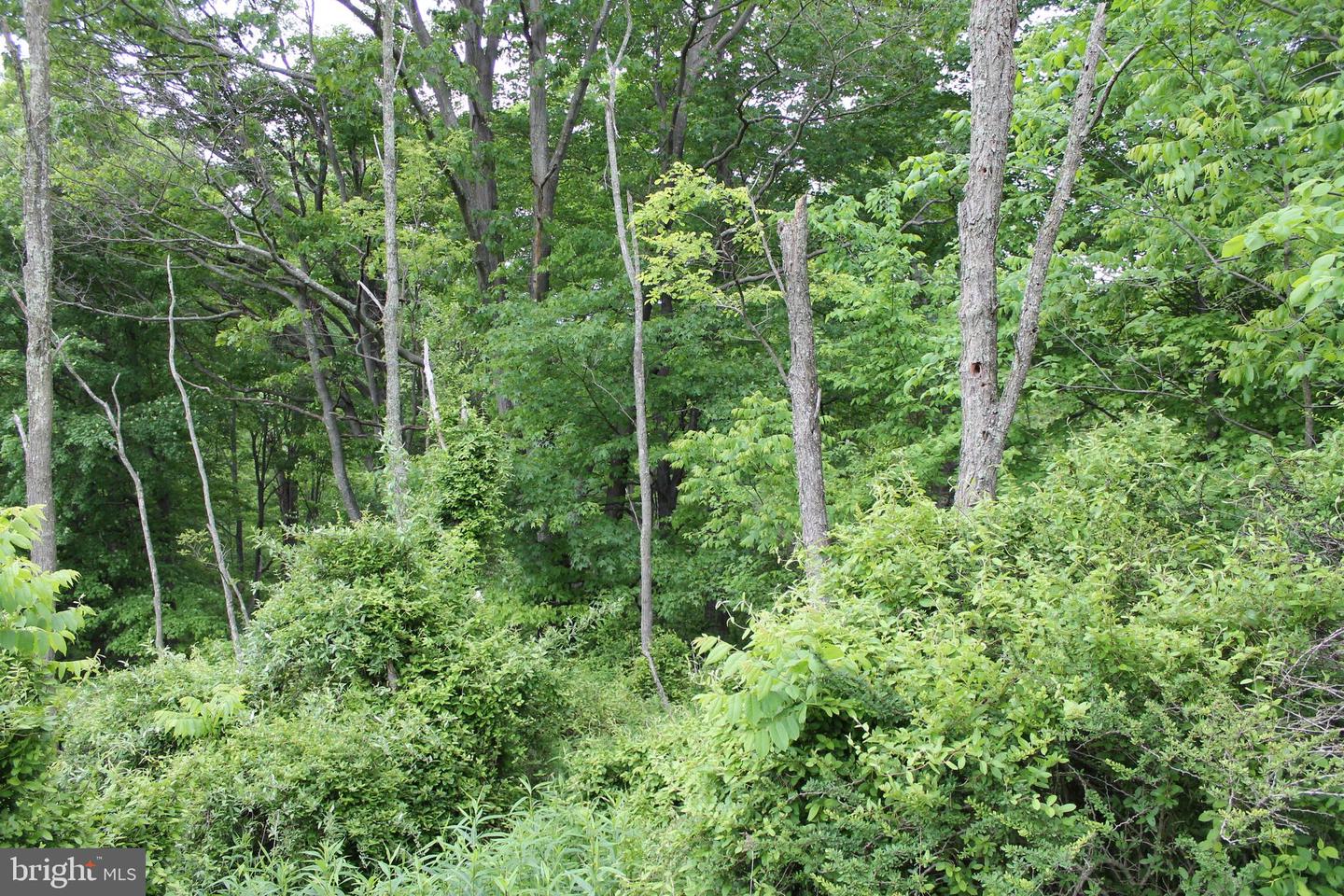 00 Black Valley Rd Property Photo 72