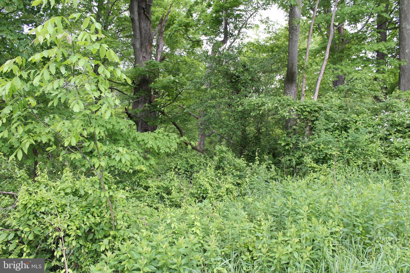 00 Black Valley Rd Property Photo 73