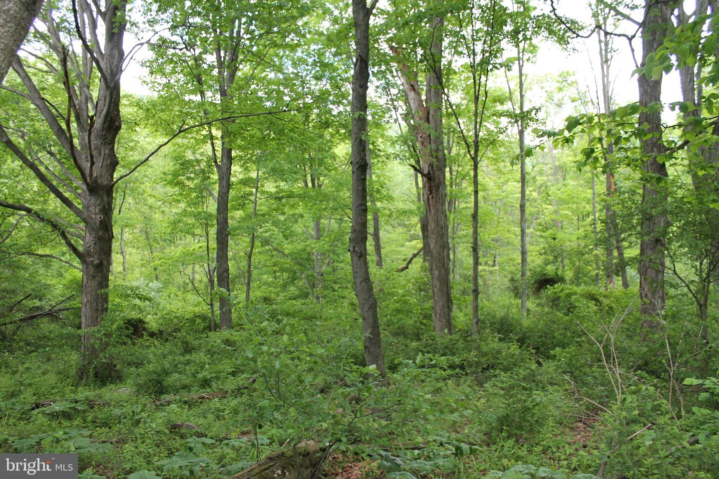 00 Black Valley Rd Property Photo 75