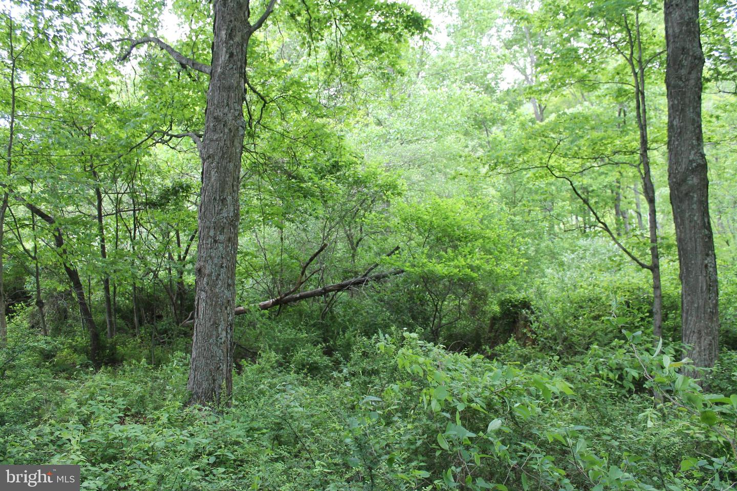 00 Black Valley Rd Property Photo 77