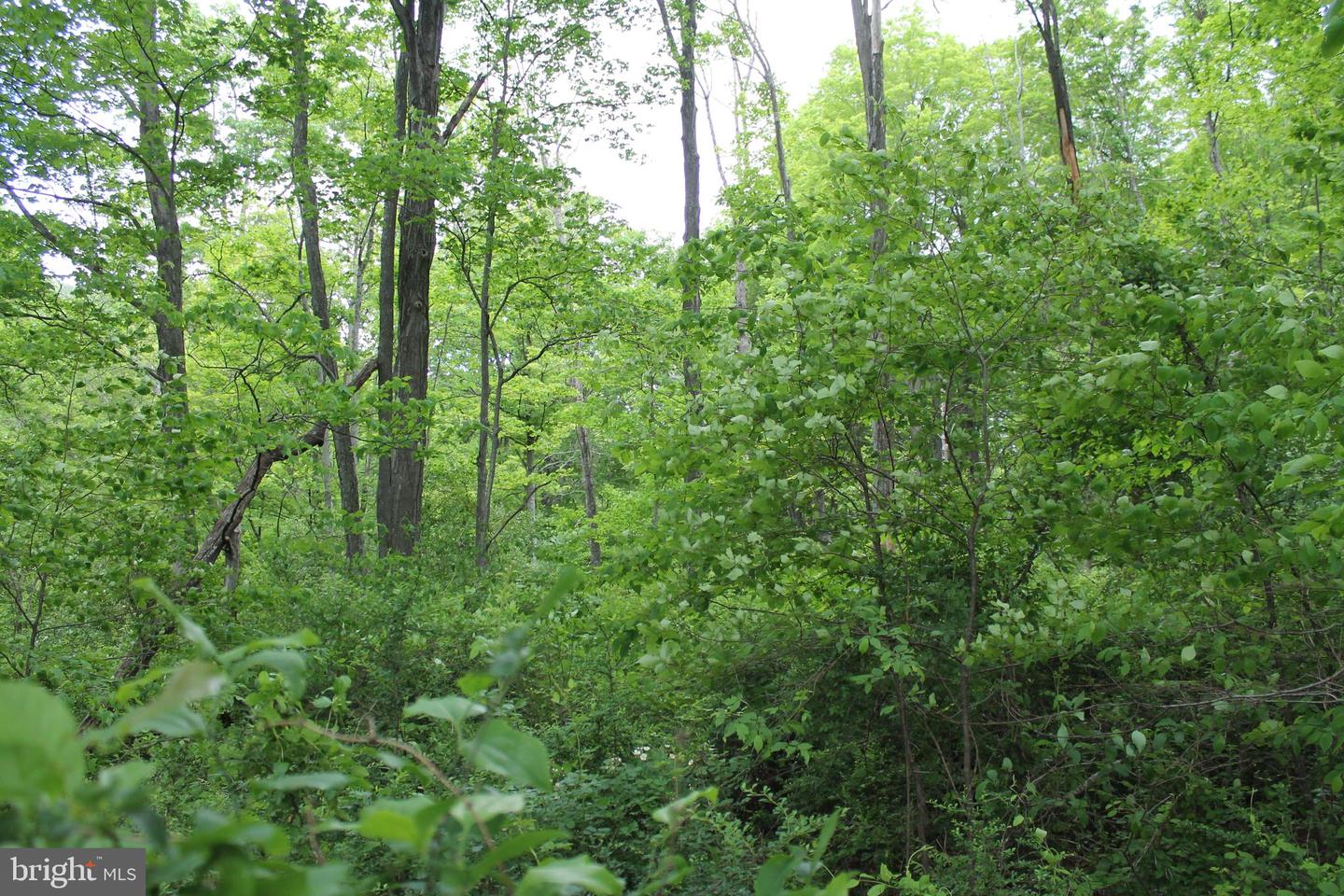00 Black Valley Rd Property Photo 78
