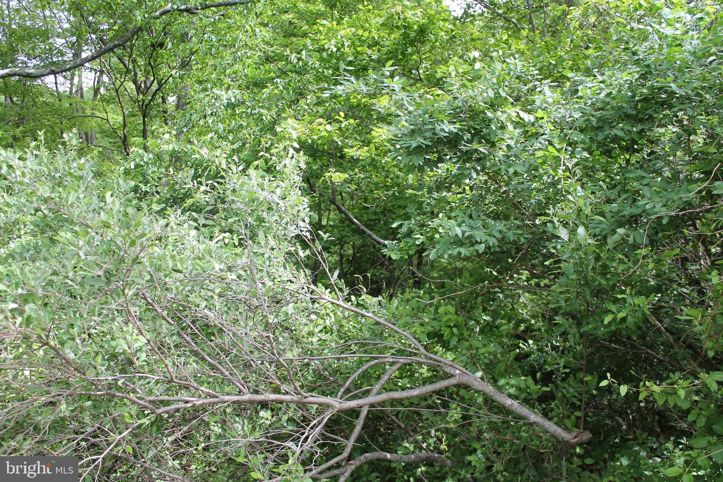 00 Black Valley Rd Property Photo 80