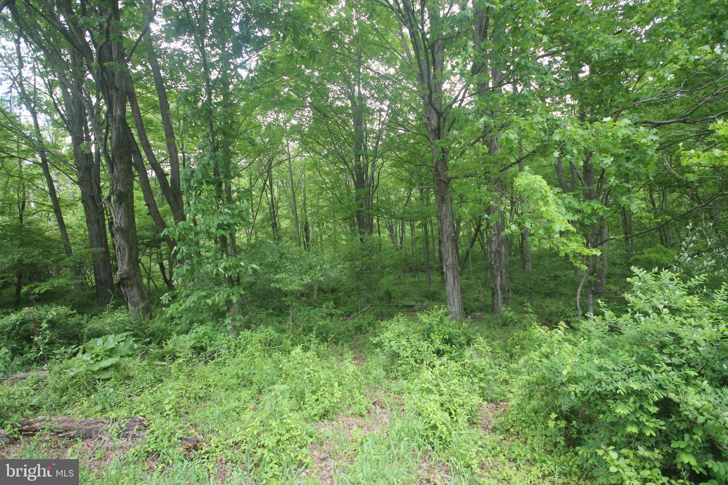 00 Black Valley Rd Property Photo 82