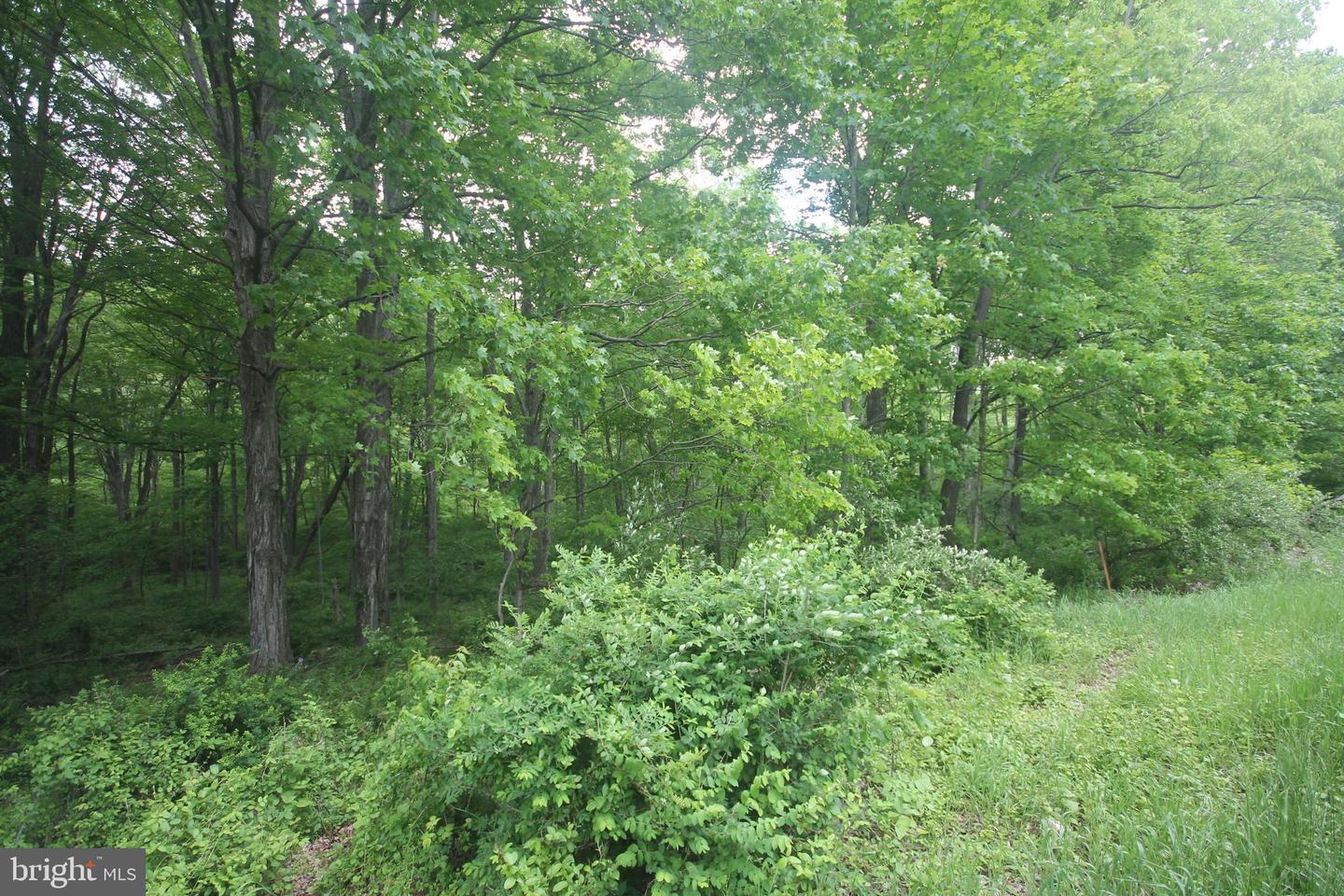 00 Black Valley Rd Property Photo 83