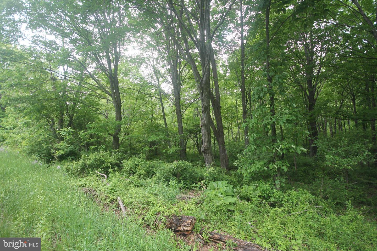00 Black Valley Rd Property Photo 84