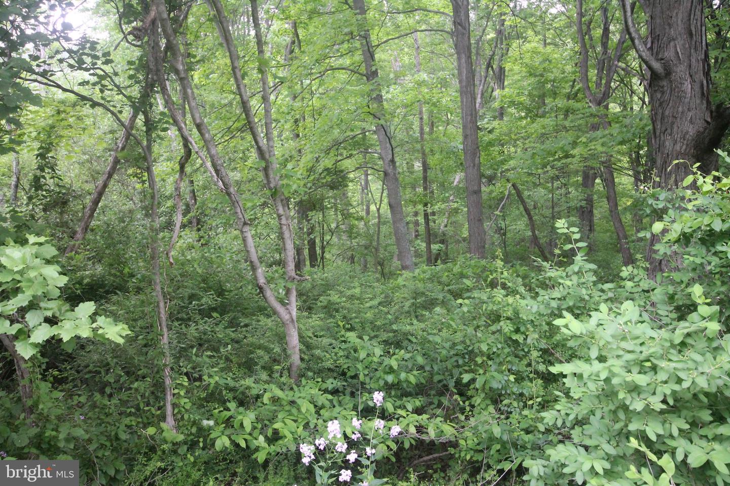 00 Black Valley Rd Property Photo 85