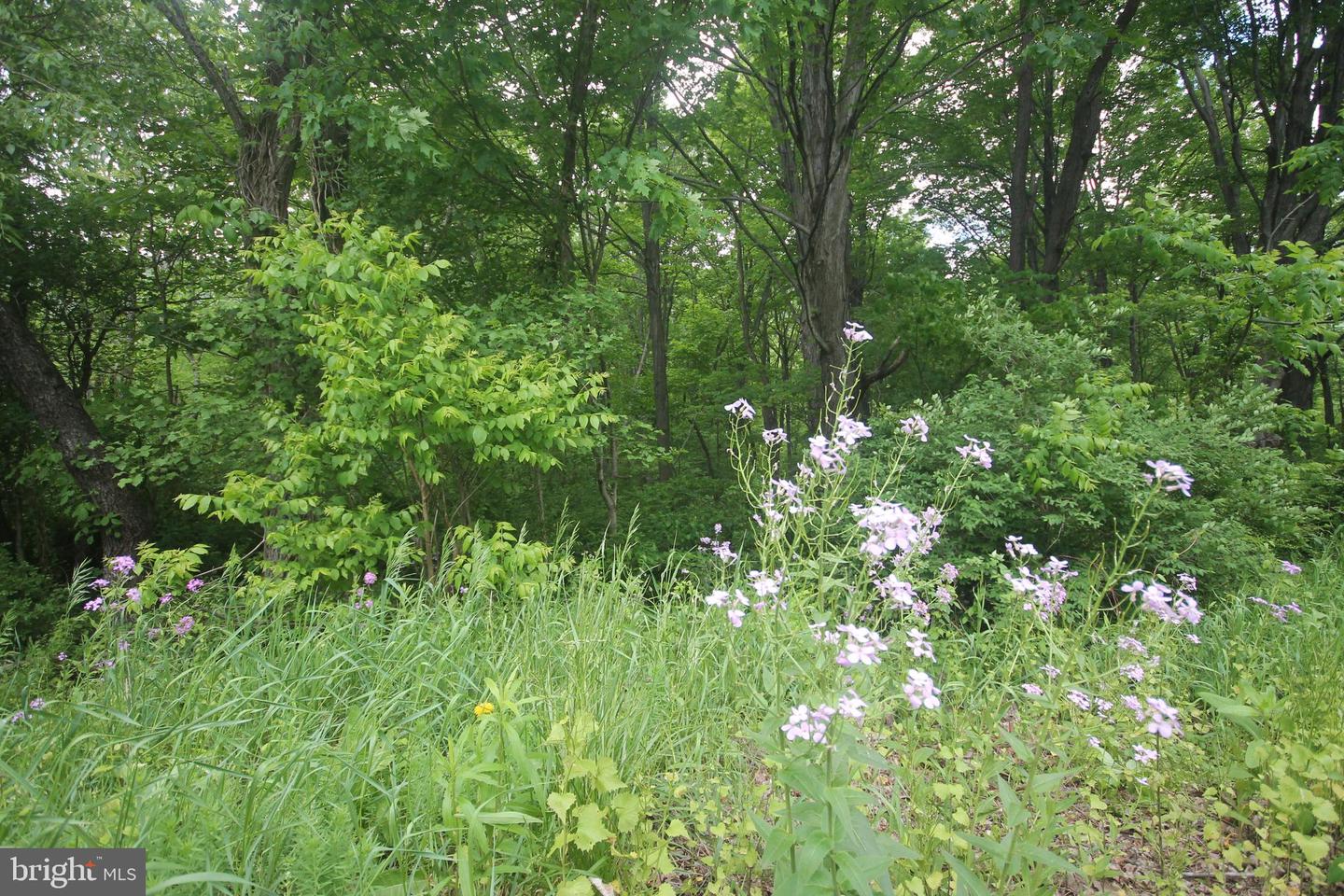 00 Black Valley Rd Property Photo 86