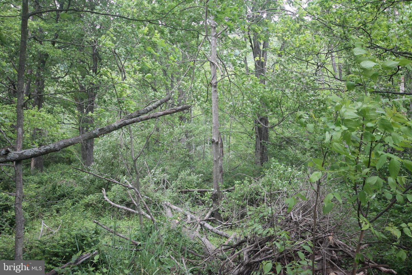 00 Black Valley Rd Property Photo 87