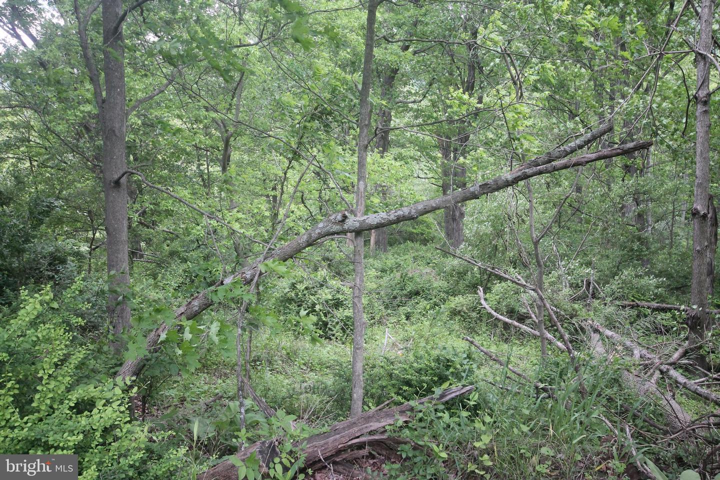 00 Black Valley Rd Property Photo 88